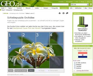 Ilima Orchidee