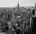 Bild 38
